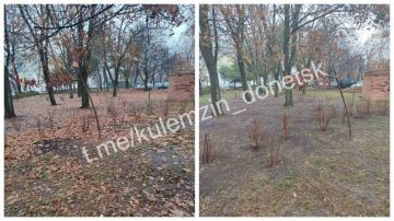 Алексей Кулемзин: Сотрудники коммунального предприятия «Зелёное строительство» продолжают уборку и благоустройство нашего города