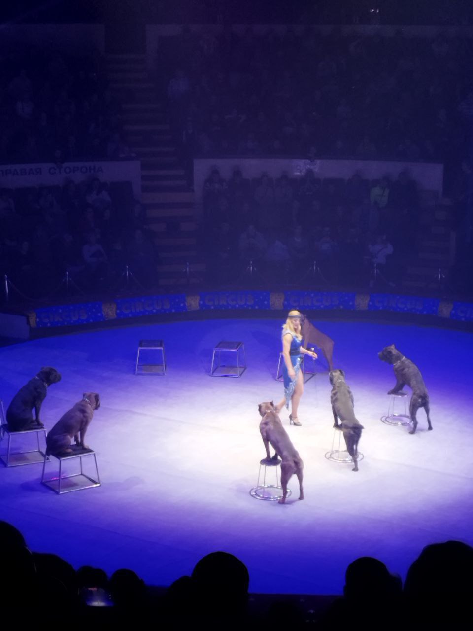 Дмитрий Огилец: Сегодня в рамках работы Комитета Народного Совета ДНР по поддержке участников СВО провели шикарное мероприятие Дмитрий Огилец: Сегодня в рамках работы Комитета Народного Совета ДНР по поддержке участников СВО провели шикарное мероприятие