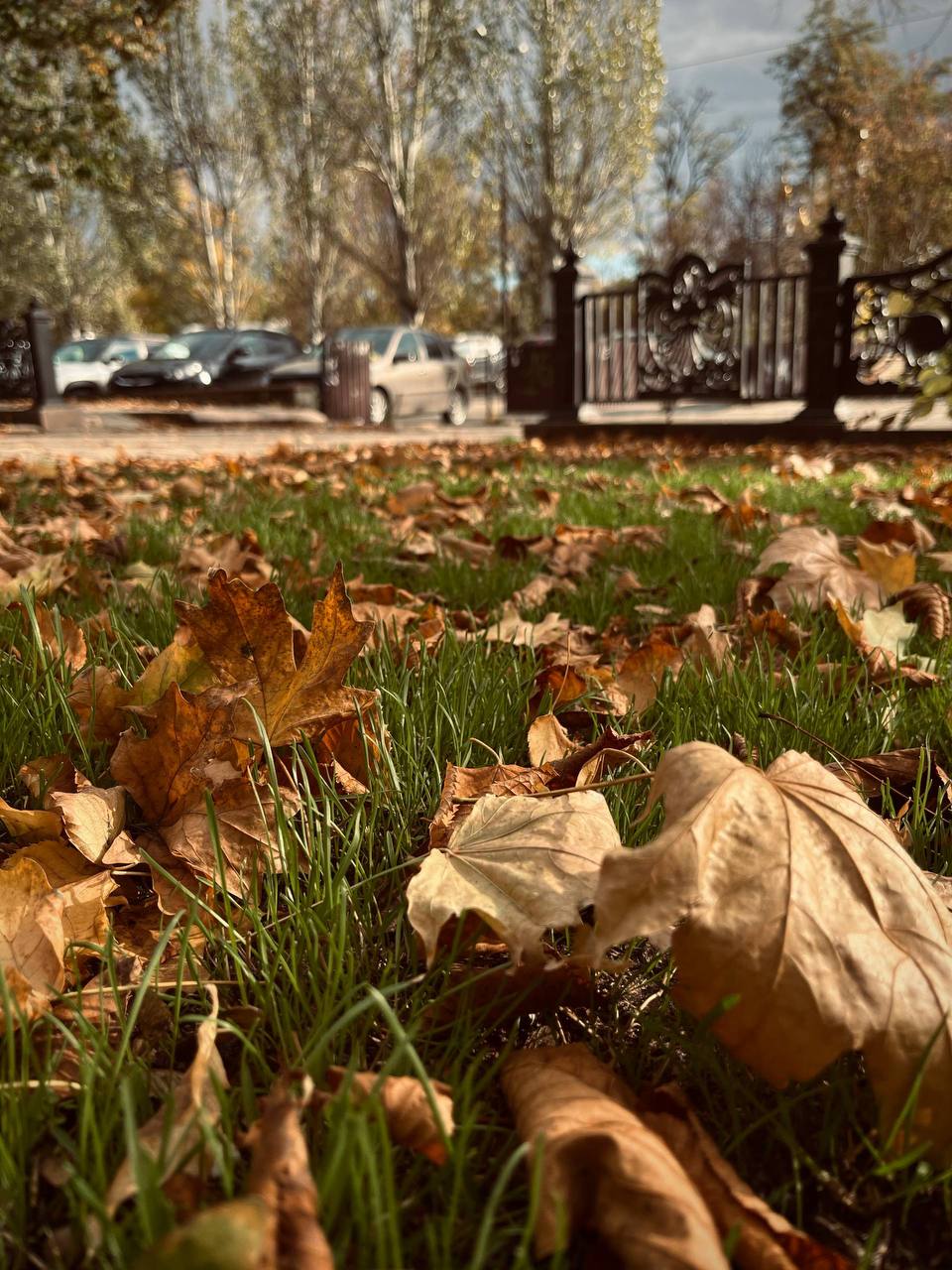 Ноябрьское чудо: осенний Донецк великолепен! Ноябрьское чудо: осенний Донецк великолепен!