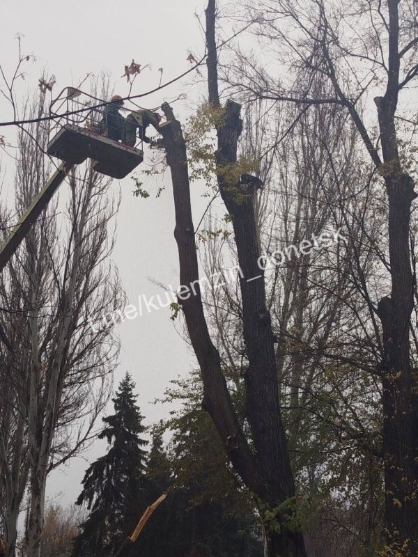 ������� ��������: ���������� ������������� ����������� ������� ������������� ���������� ������ � ��������������� ������ ������