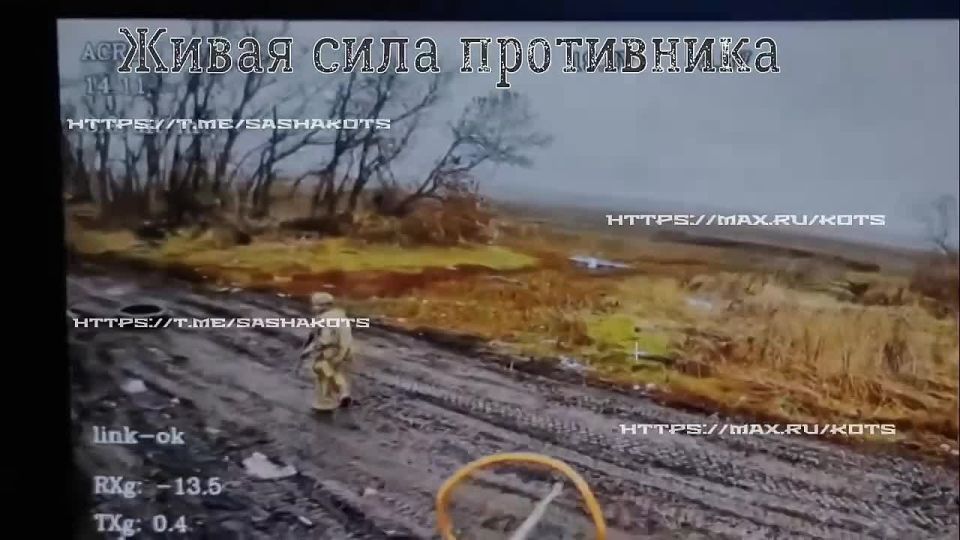  :  -.     ,       30 ,    -   