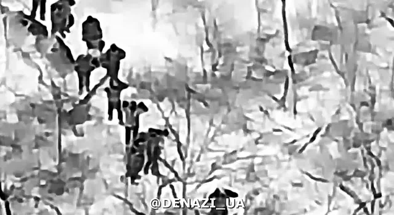 25 укронацистов сдались в фактически окружённом Димитрове! К нашим бойцам вышли с поднятыми руками ВСУшники из 38-й отдельной бригады морской пехоты