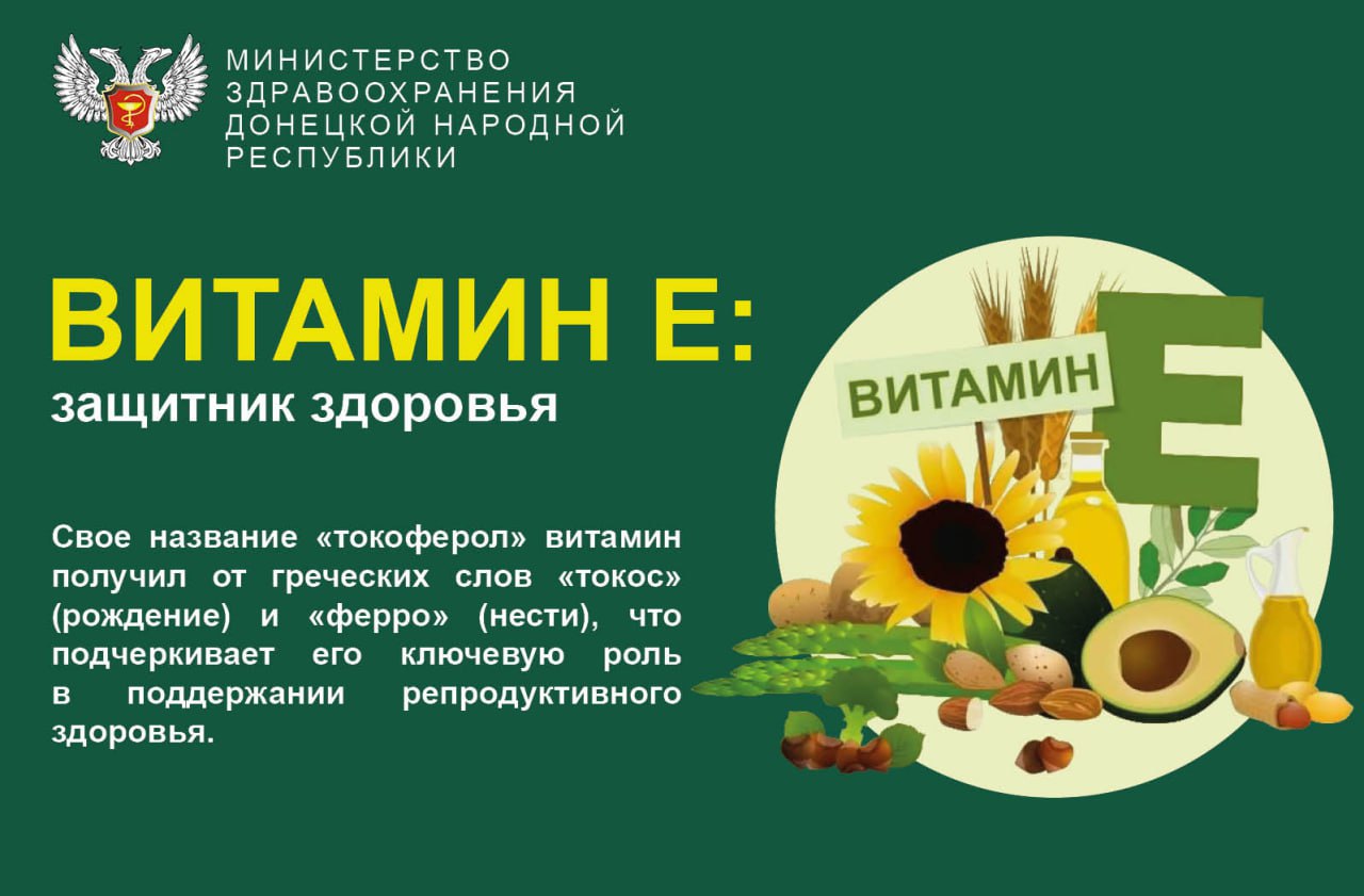 Витамин Е: главный антиоксидант и защитник клеток