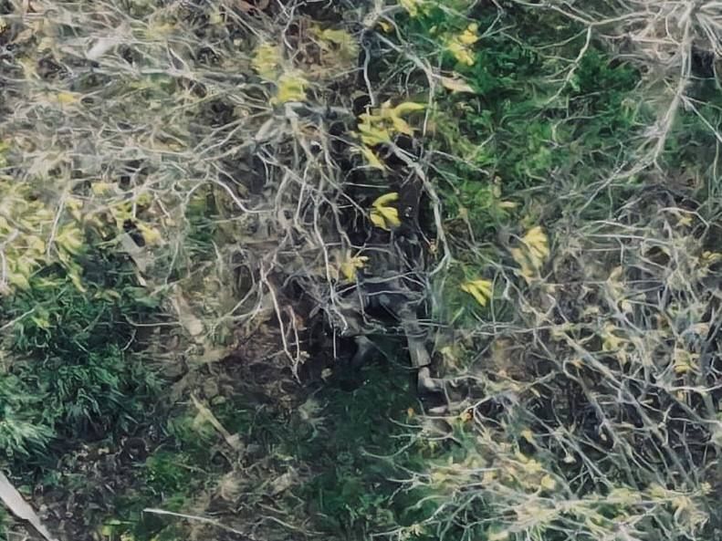 ������ ���������� �������� ���������� � ���� ��� ����������