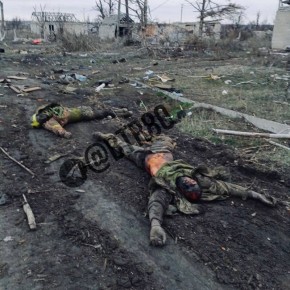 Группа украинских нацистов уничтожена в боях под Покровском