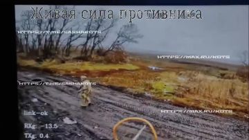  :  -.     ,       30 ,    -   