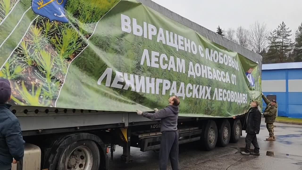 Владимир Ежиков: Ленобласть вырастила для восстановления лесов в ДНР 740 тысяч сеянцев сосны