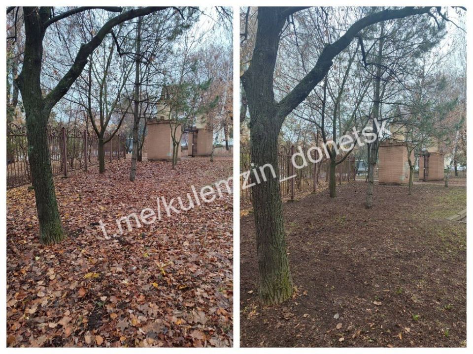 ������� ��������: ���������� ������������� ����������� ������� ������������� ���������� ������ � ��������������� ������ ������