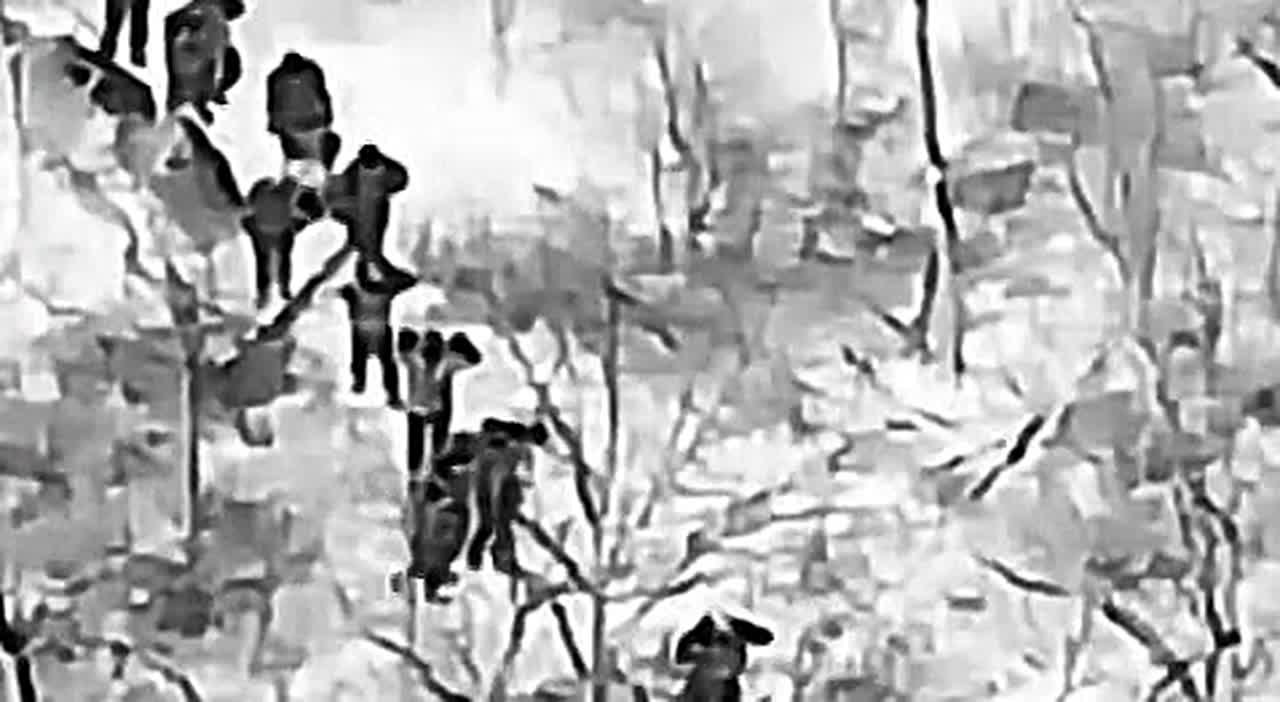 Элитные морпехи ВСУ массово сдаются в плен под Красноармейском