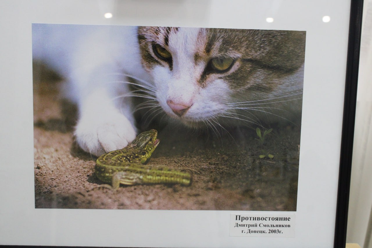 «Видел мир душой». В краеведческом музее действует фотовыставка участника СВО Дмитрия Смольникова, освобождавшего Мариуполь и погибшего под Авдеевкой