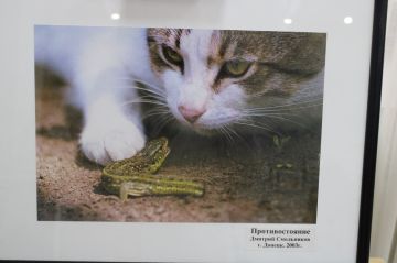 «Видел мир душой». В краеведческом музее действует фотовыставка участника СВО Дмитрия Смольникова, освобождавшего Мариуполь и погибшего под Авдеевкой