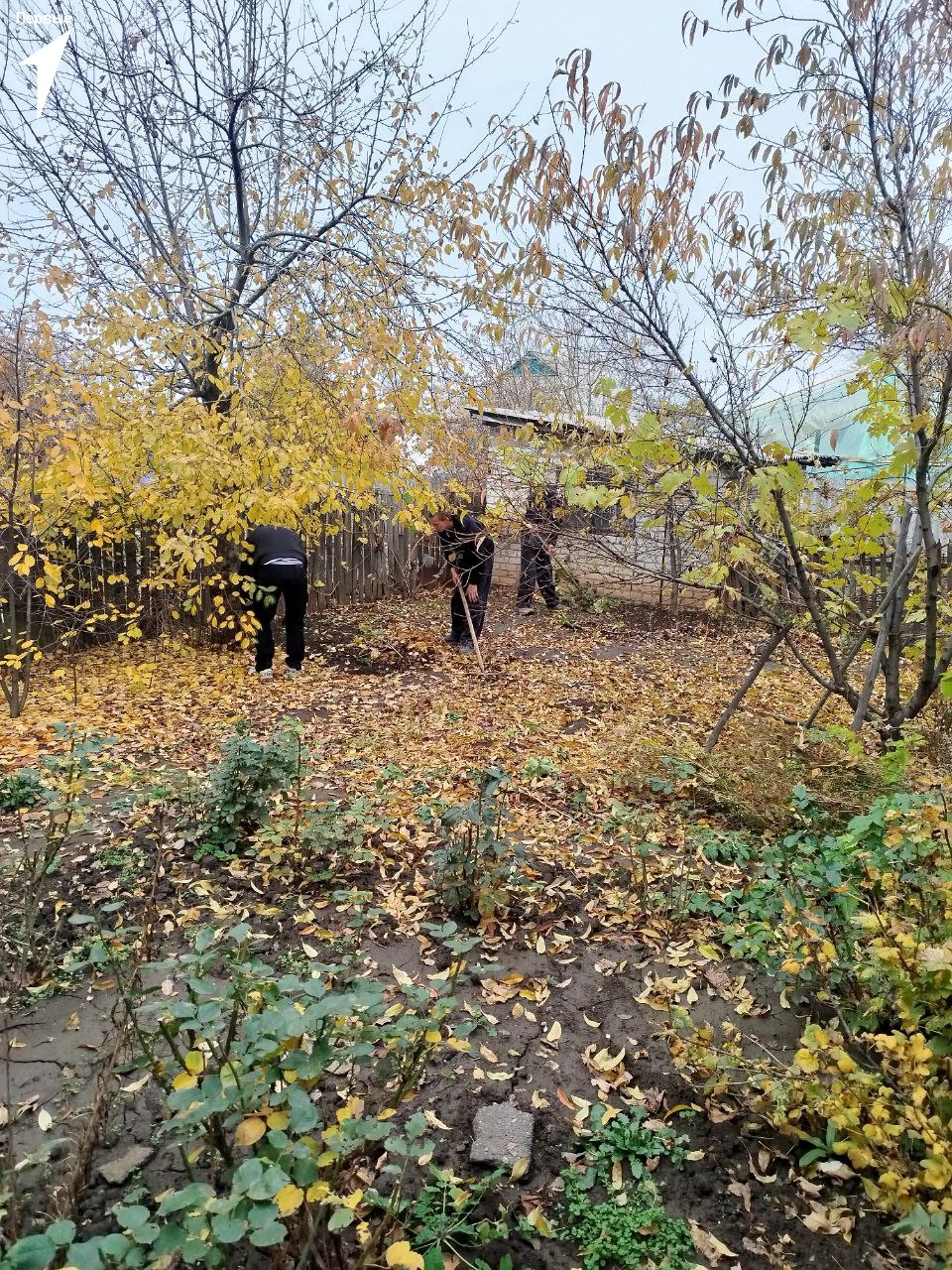 Первые всегда рядом. Активисты волонтерского отряда школы №5 оказали адресную помощь одной из пожилых жительниц нашего города, убрав придомовую территорию Первые всегда рядом. Активисты волонтерского отряда школы №5 оказали адресную помощь одной из пожилых жительниц нашего города, убрав придомовую территорию