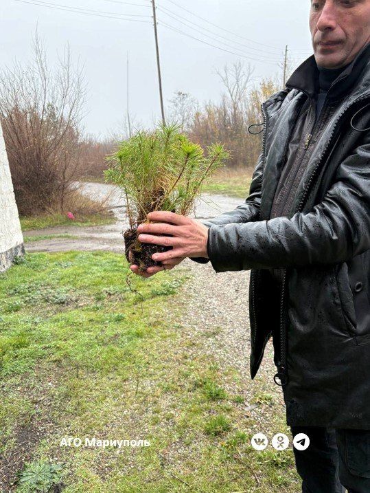 Ленобласть поможет восстановить леса Донбасса Ленобласть поможет восстановить леса Донбасса