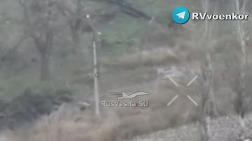 Новости СВО: ВС РФ гуляют по центру Димитрова и снесли рубежи ВСУ у Константиновки