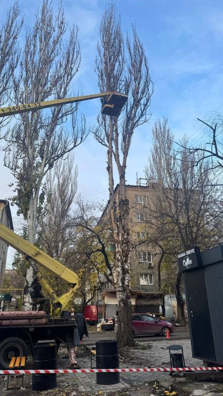 Сегодня, 13 ноября, сотрудниками МУП АГОД ДНР "ЗЕЛЕНОЕ СТРОИТЕЛЬСТВО Г.ДОНЕЦКА" проведены работы по санитарной обрезке и распилу аварийных деревьев в Ленинском внутригородском районе г. Донецка Сегодня, 13 ноября, сотрудниками МУП АГОД ДНР "ЗЕЛЕНОЕ СТРОИТЕЛЬСТВО Г.ДОНЕЦКА" проведены работы по санитарной обрезке и распилу аварийных деревьев в Ленинском внутригородском районе г. Донецка