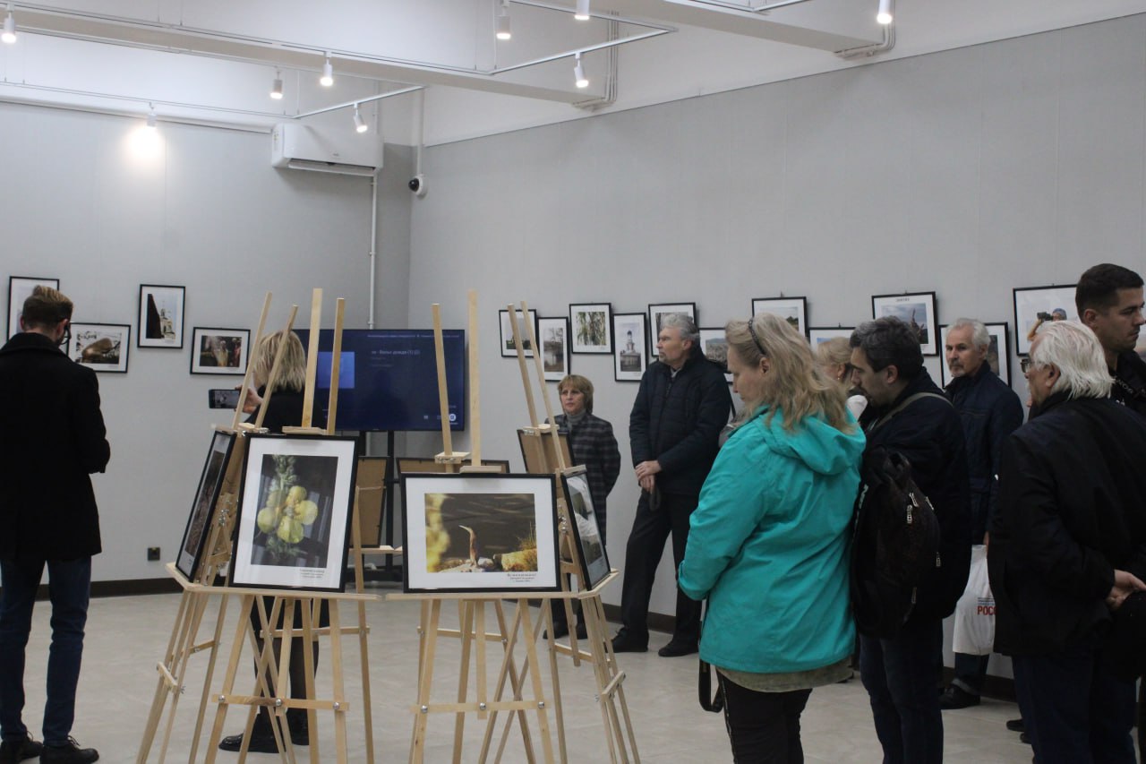 «Видел мир душой». В краеведческом музее действует фотовыставка участника СВО Дмитрия Смольникова, освобождавшего Мариуполь и погибшего под Авдеевкой «Видел мир душой». В краеведческом музее действует фотовыставка участника СВО Дмитрия Смольникова, освобождавшего Мариуполь и погибшего под Авдеевкой