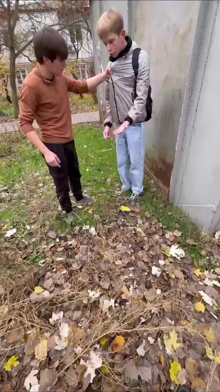 ������ ��������: ��� ���, ��������, ���������� ����� �� ����������