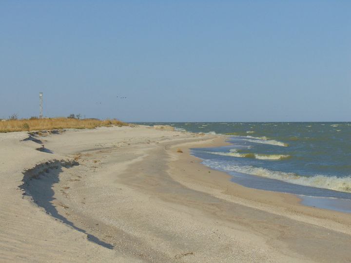 Исследование побережья Азовского моря: Минприроды ДНР об итогах экспедиции по изучению косы Кривой