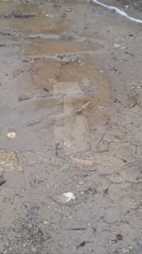 Донецк, улица Павлодарского 14а…