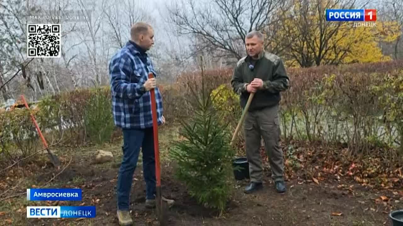 Вадим Топалов: Три фуры с сеянцами сосны обыкновенной привезли в Донбасс из Ленинградской области