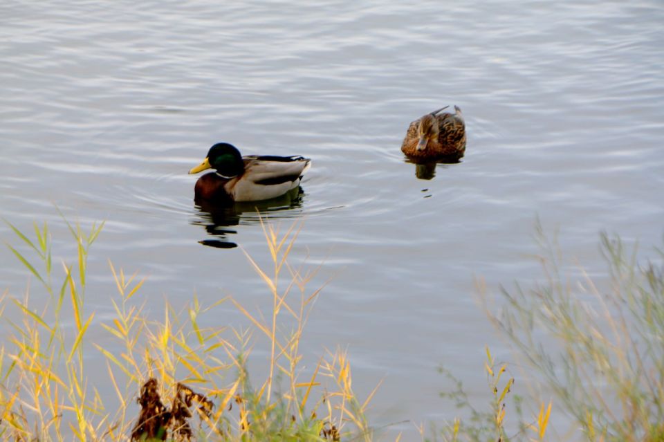 ������ ���� ������� ���������� ������� ��������!