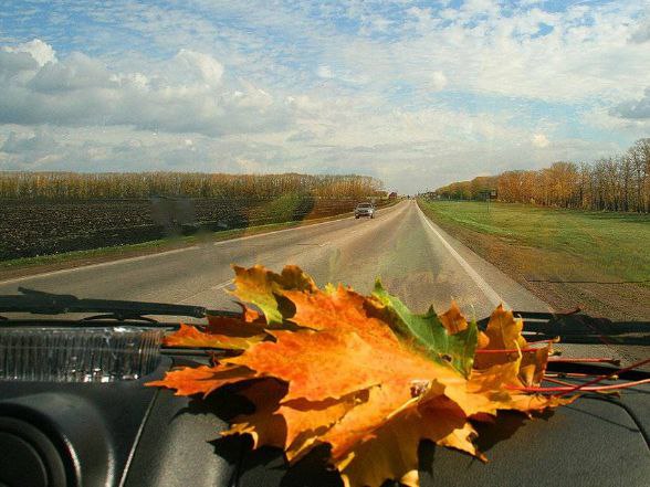 Александр Бондаренко: 14 НОЯБРЯ. Погодные условия в Донецкой Народной Республике: 14 ноября на территории Республики облачно с прояснениями, без существенных осадков