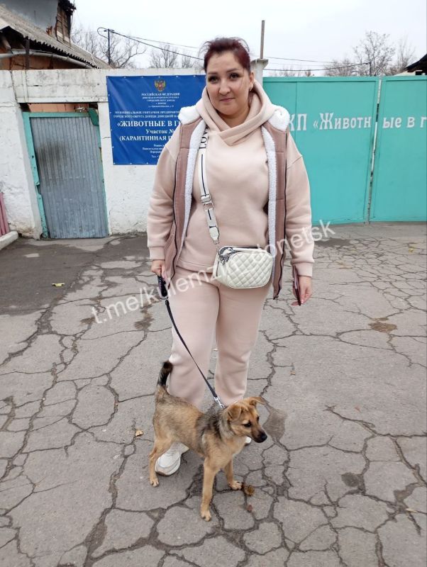 Алексей Кулемзин: Каждый день специалисты предприятия «Животные в городе» проводят рейды по отлову бездомных животных Алексей Кулемзин: Каждый день специалисты предприятия «Животные в городе» проводят рейды по отлову бездомных животных