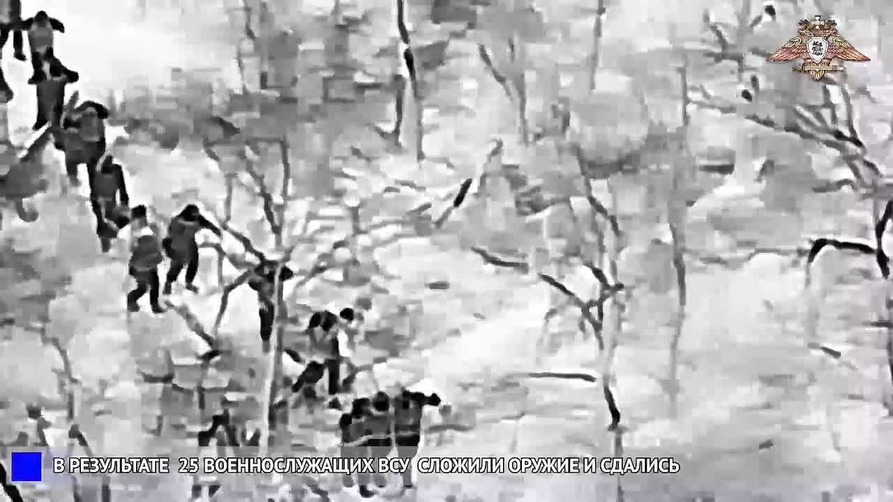 Доброе утро, дорогие читатели!