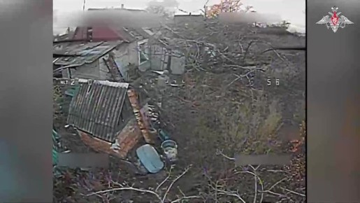  :     5-      ..  51-          ...