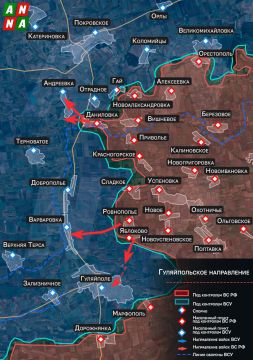 Российские военные вышли на оперативный простор около Гуляйполя Запорожской области