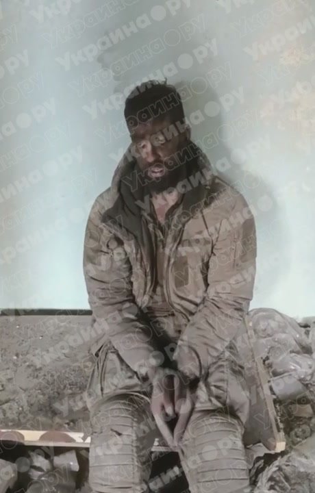 "Оно того не стоит. Не идите воевать! Бросайте оружие — будете живы"