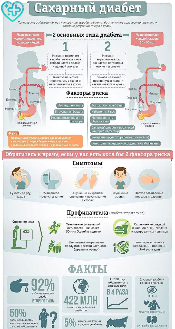 В России официально зарегистрировано около 6 миллионов больных сахарным диабетом, однако истинное число пациентов в 2-3 раза больше (12-18 миллионов человек)