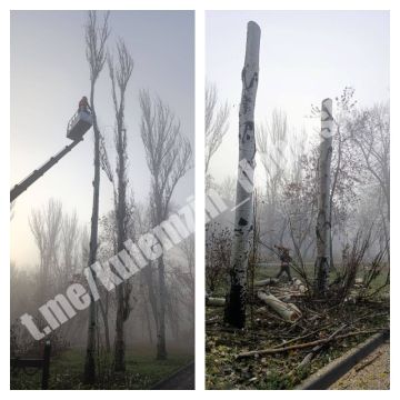 Алексей Кулемзин: Работы по благоустройству продолжаются во всех районах нашего города