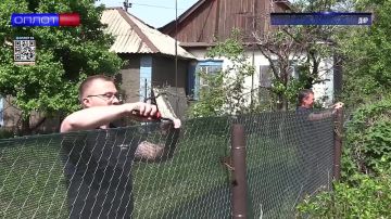 Нужно ли регистрировать права на хозяйственные постройки, расположенные на вашем участке