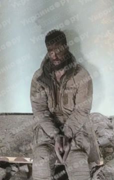 "Оно того не стоит. Не идите воевать! Бросайте оружие — будете живы"