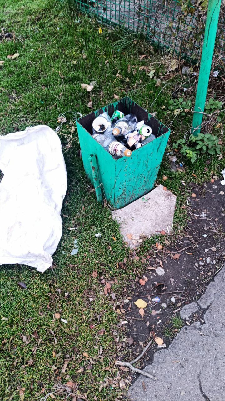 В Кировском прошел субботник В Кировском прошел субботник