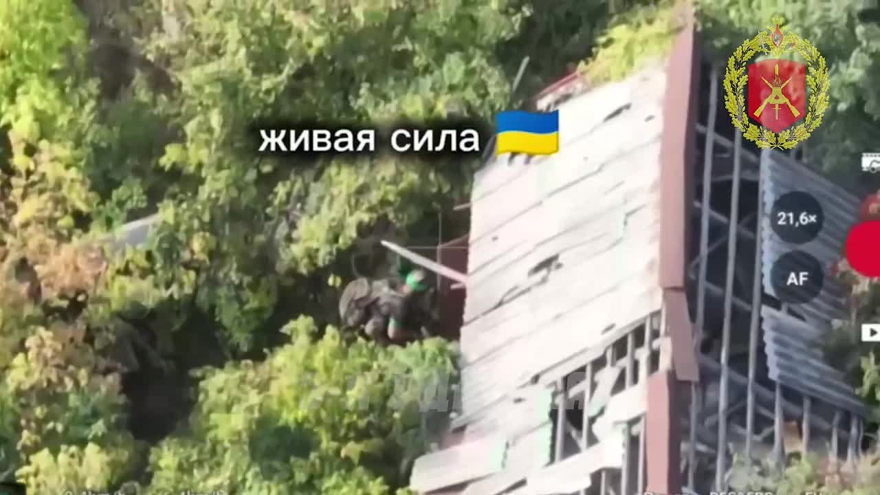 На Северском участке фронта продолжаются ожесточённые бои в районе Дроновки