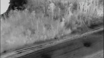 Андрей Руденко: На Константиновском направлении в ДНР операторы БпЛА 150-й гв.мсд «Южной» группировки войск обнаружили и уничтожили два пункта управления БпЛА ВСУ в лесном массиве