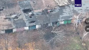 Подразделения "Центра" зачистили 49 зданий в Димитрове и продолжают наступление в Восточном и Западном микрорайонах города, а также в южной его части, сообщили в МО РФ