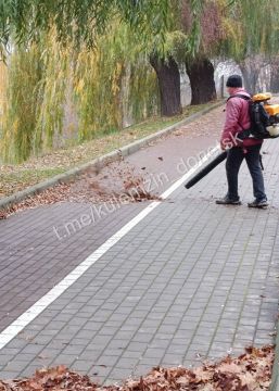Несмотря на пасмурную ноябрьскую погоду, сотрудники Дирекции парков продолжают работы по благоустройству!