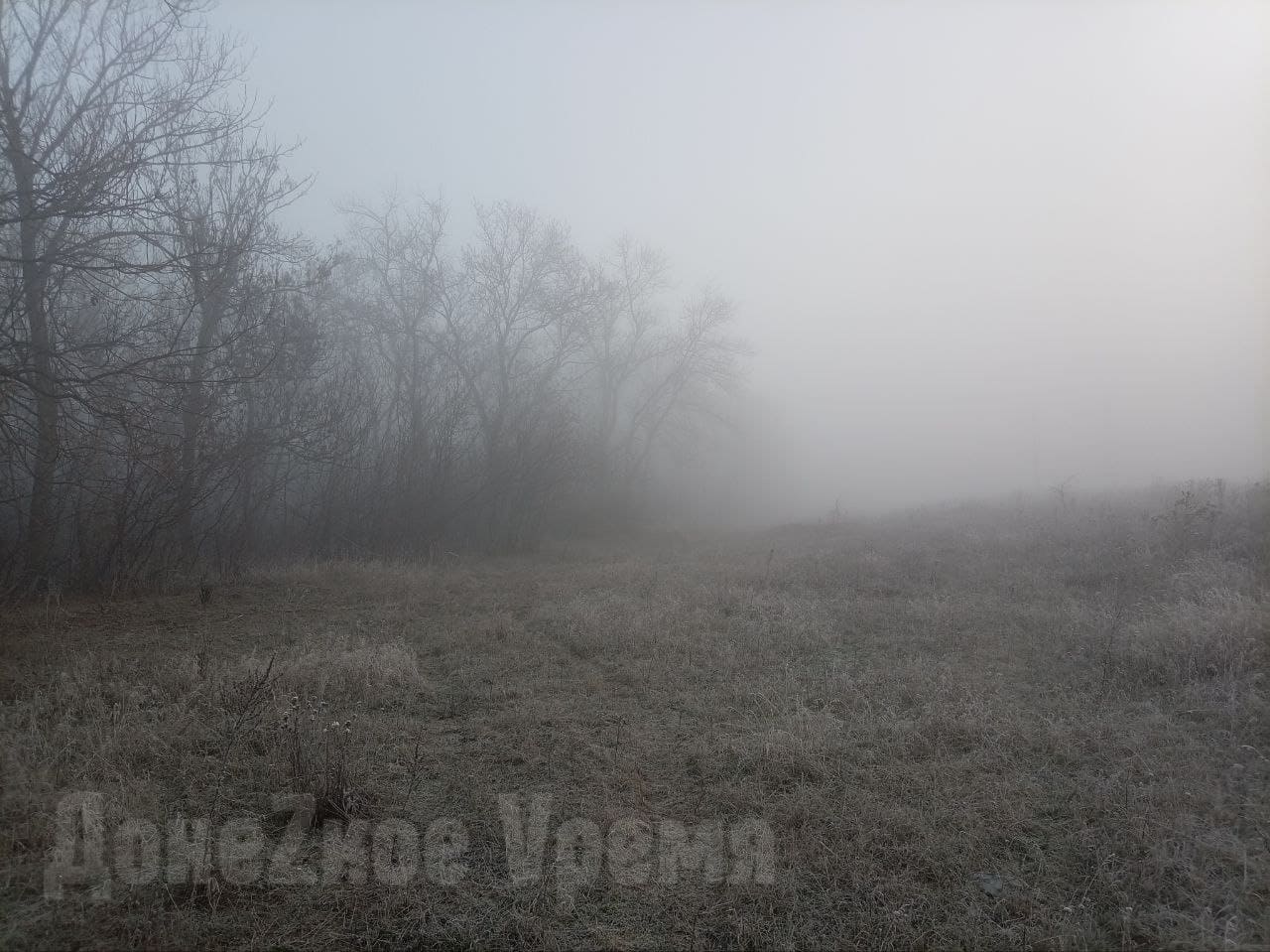 Туман, заморозки, минусовая температура: в Донецке похолодало, но ненадолго Туман, заморозки, минусовая температура: в Донецке похолодало, но ненадолго