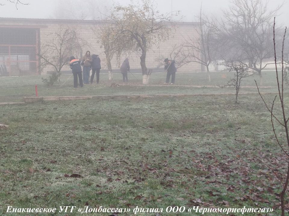 ����� ��������: ����������� ���������� � ����������� ����������� ������� ��� ����������������� �� ������������� ����������