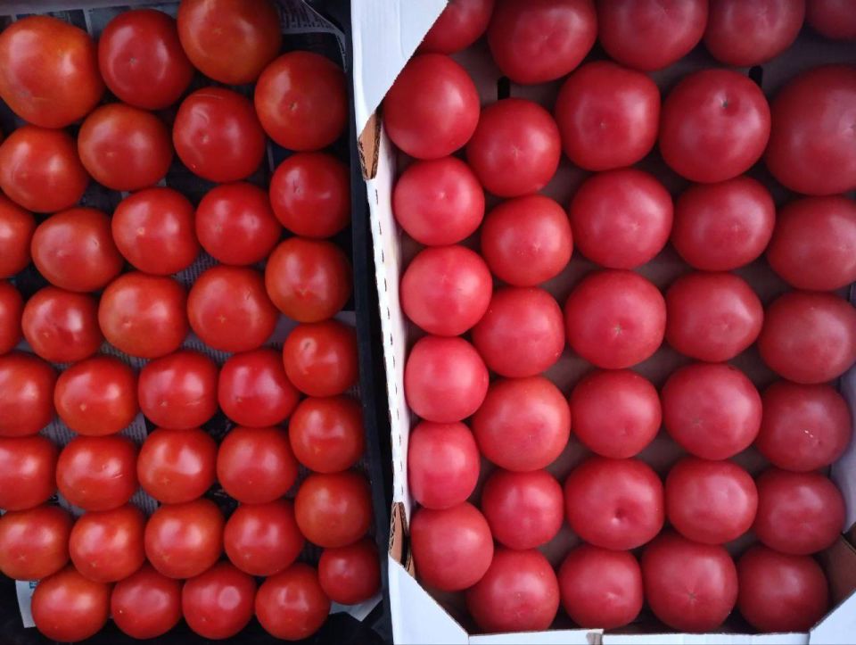 ������������ ������� � ������ ���������