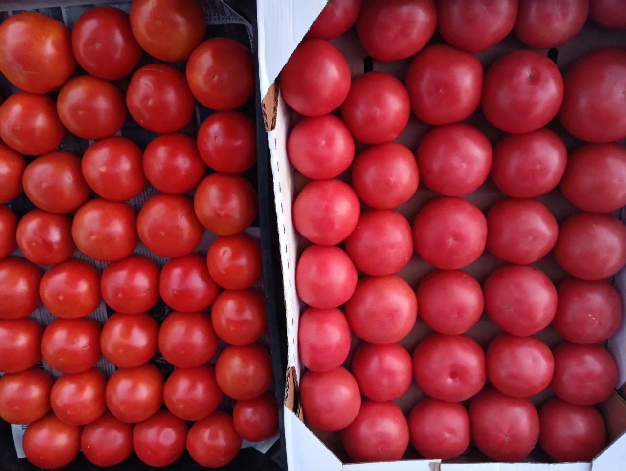 Еженедельная ярмарка в городе Мариуполь Еженедельная ярмарка в городе Мариуполь