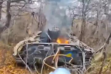 Сводка СВО на 15 ноября. ВСУ продолжают цепляться лишь за несколько окраинных районов Покровска