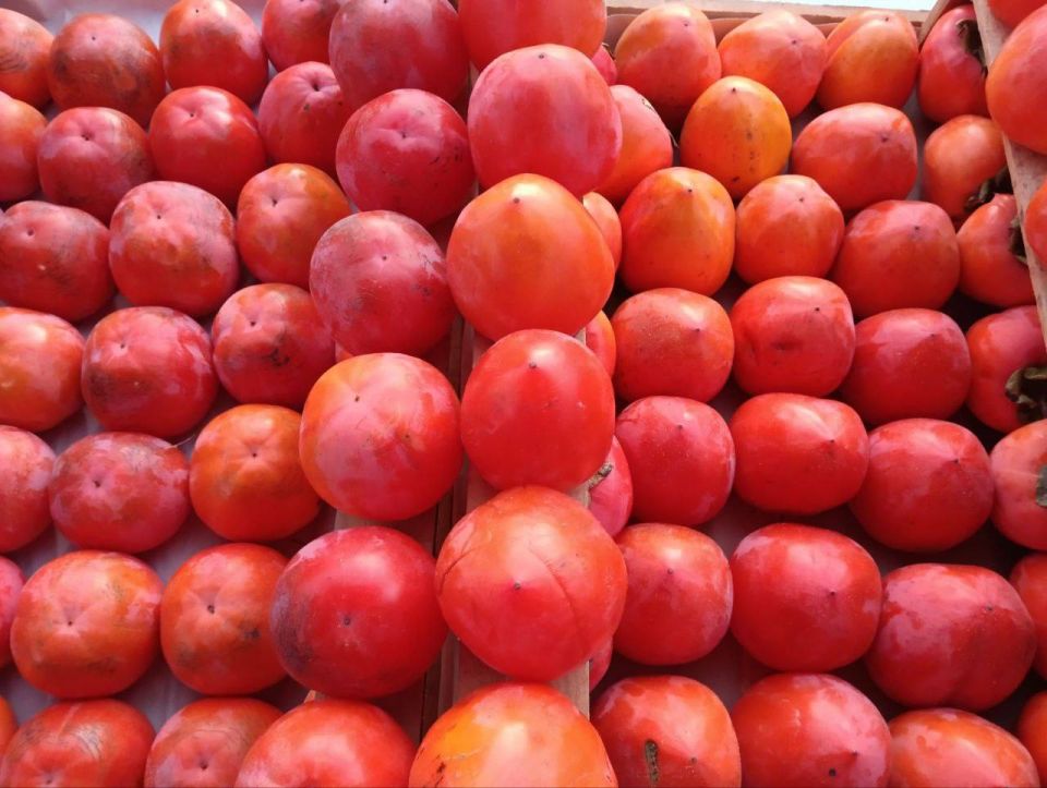 ������������ ������� � ������ ���������