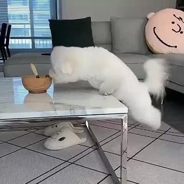 Завтрак можно совмещать с зарядкой