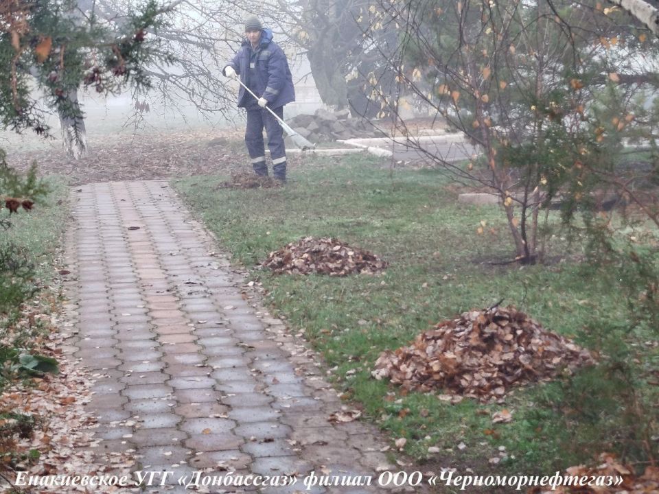 ����� ��������: ����������� ���������� � ����������� ����������� ������� ��� ����������������� �� ������������� ����������