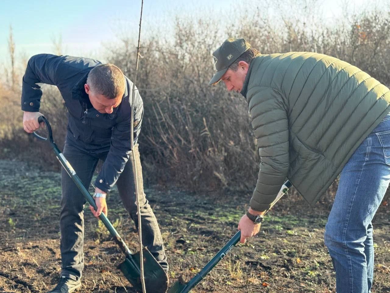 Александр Шатов: Представители Шахтерского округа и Усть-Донецкого района высадили деревья на Саур-Могиле Александр Шатов: Представители Шахтерского округа и Усть-Донецкого района высадили деревья на Саур-Могиле