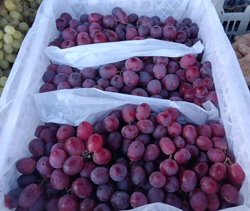 ������������ ������� � ������ ���������